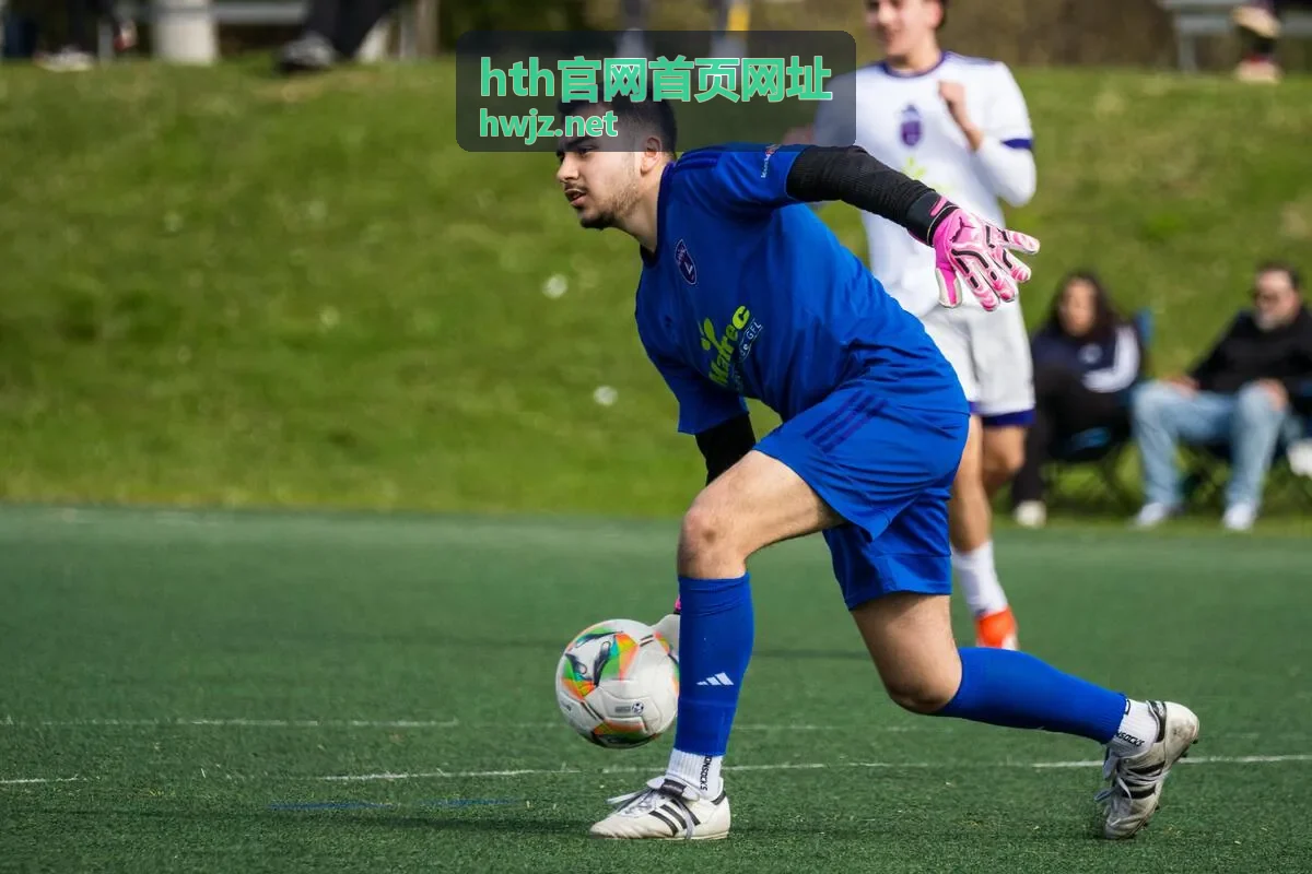 hth官网首页网址操作指南步骤演示