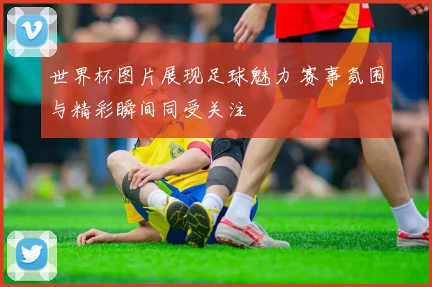 世界杯图片展现足球魅力 赛事氛围与精彩瞬间同受关注
