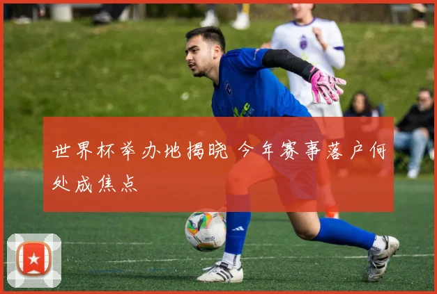 世界杯举办地揭晓 今年赛事落户何处成焦点