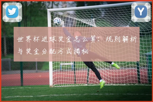 世界杯进球奖金怎么算:规则解析与奖金分配方式揭秘