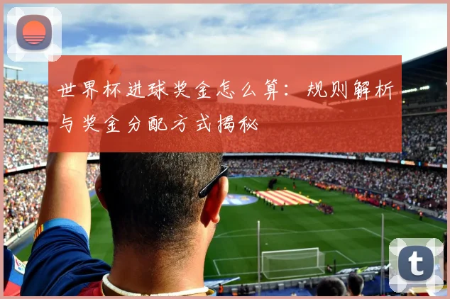 世界杯进球奖金怎么算：规则解析与奖金分配方式揭秘