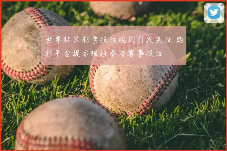 世界杯买彩票投注规则引发关注 购彩平台提示理性参与赛事投注
