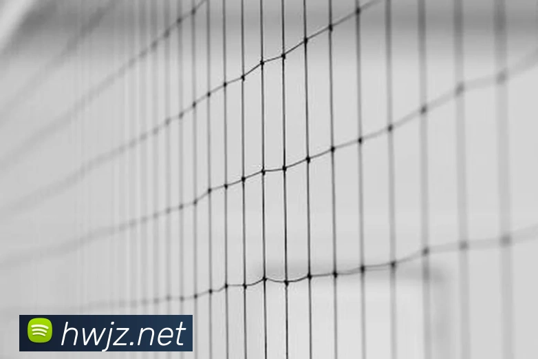 必一运动体育官网平台生态图